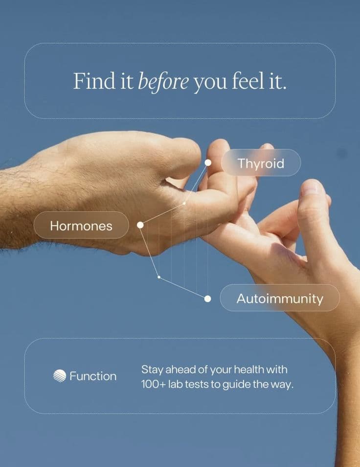 Function — Find it before